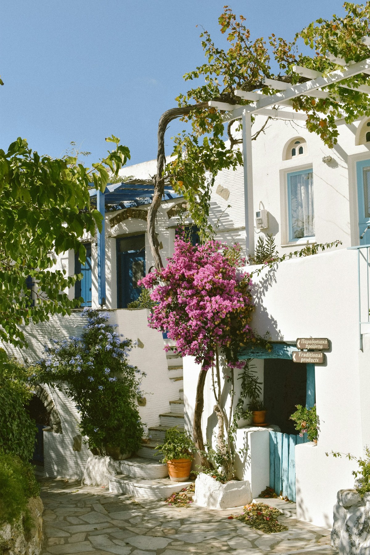 A village lane with whitewashed houses, blue shutters and bougainvillea on Tinos, Greece