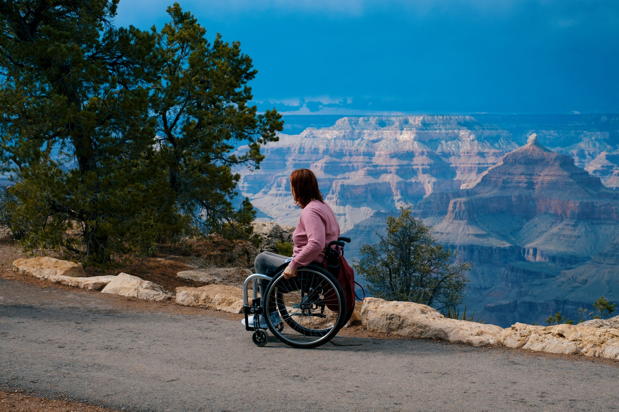 A wheelchair user enjoying the view across the Grand Canyon