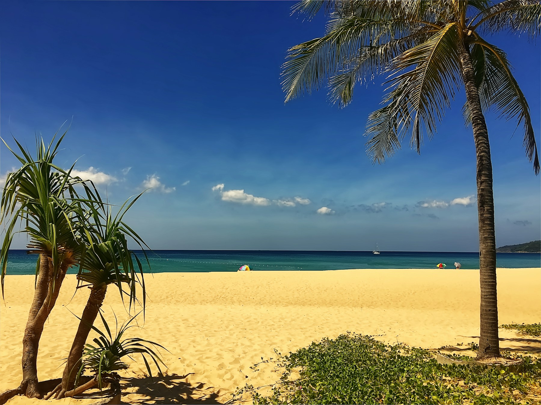 A sandy beach and palms beside the sea in Phuket